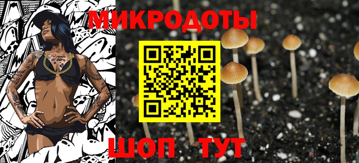 Москва  Галлюциногенные грибы GOLDEN TEACHER  Вход с VPN 